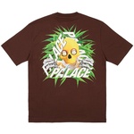 Thumbnail BAKED P-3 T-SHIRT NICE BROWN one color