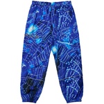 Thumbnail ARC SHELL JOGGER SPIDER WEB BLUE one color