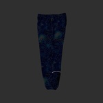 Thumbnail ARC SHELL JOGGER SPIDER WEB BLUE one color