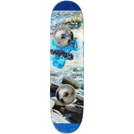 Thumbnail LUCAS PRO S34 8.2 one color