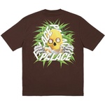 Thumbnail BAKED P-3 T-SHIRT NICE BROWN one color