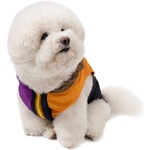 Thumbnail PALACE K-WAY LE VRAI 4.0 HORATIO DOG JACKET MULTI / PURPLE / ORANGE one color
