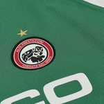 Pro Team Palco Jersey Green - Spring 2025 - Palace Community