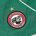 Thumbnail PRO TEAM PALCO SHORT GREEN one color