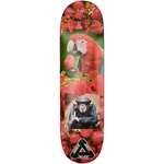 Thumbnail CHARLIE PRO S38 8.5 one color