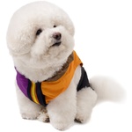 Thumbnail PALACE K-WAY LE VRAI 4.0 HORATIO DOG JACKET MULTI / PURPLE / ORANGE one color