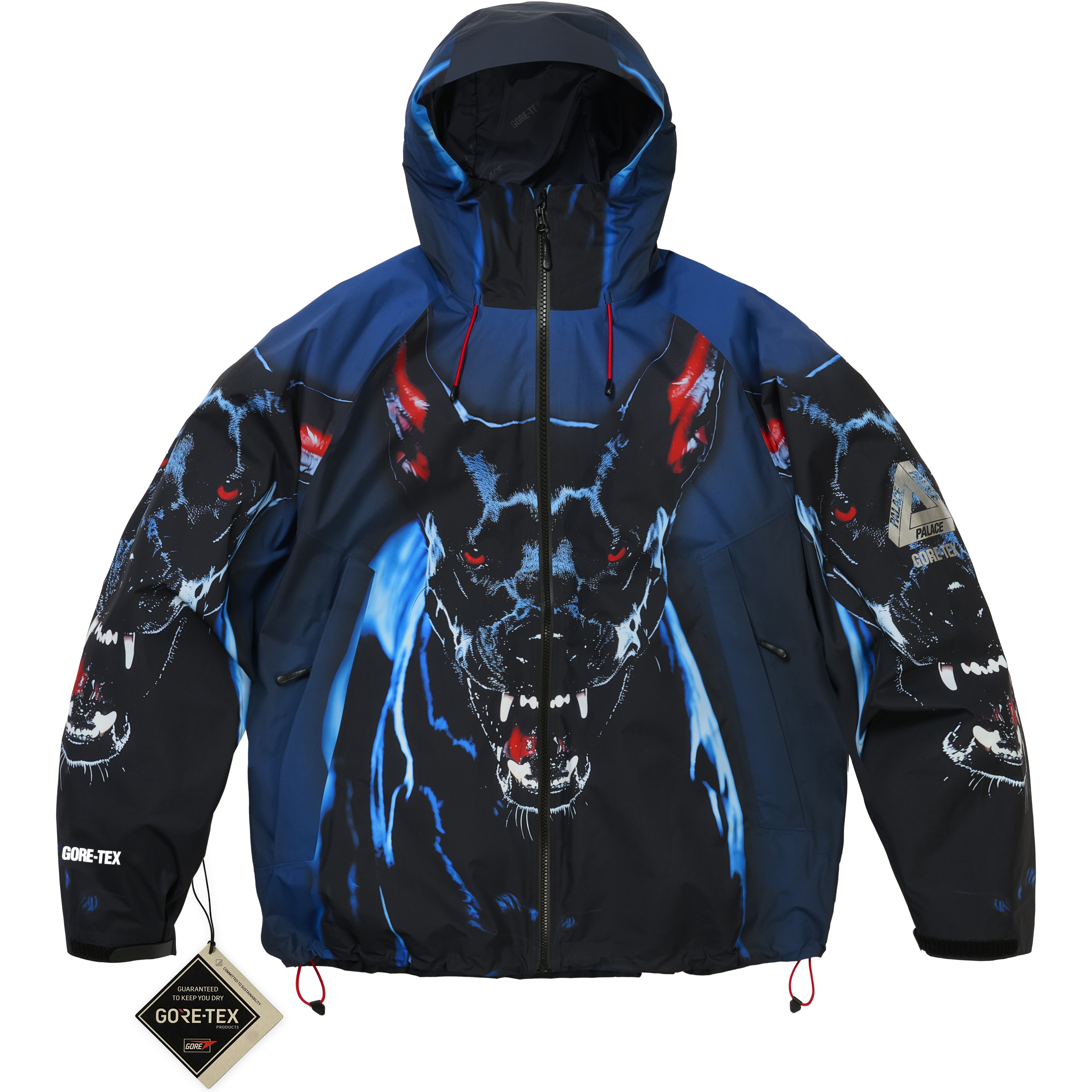 Palace GORE-TEX 2L P-TEK JACKET K-NEIN PRINT