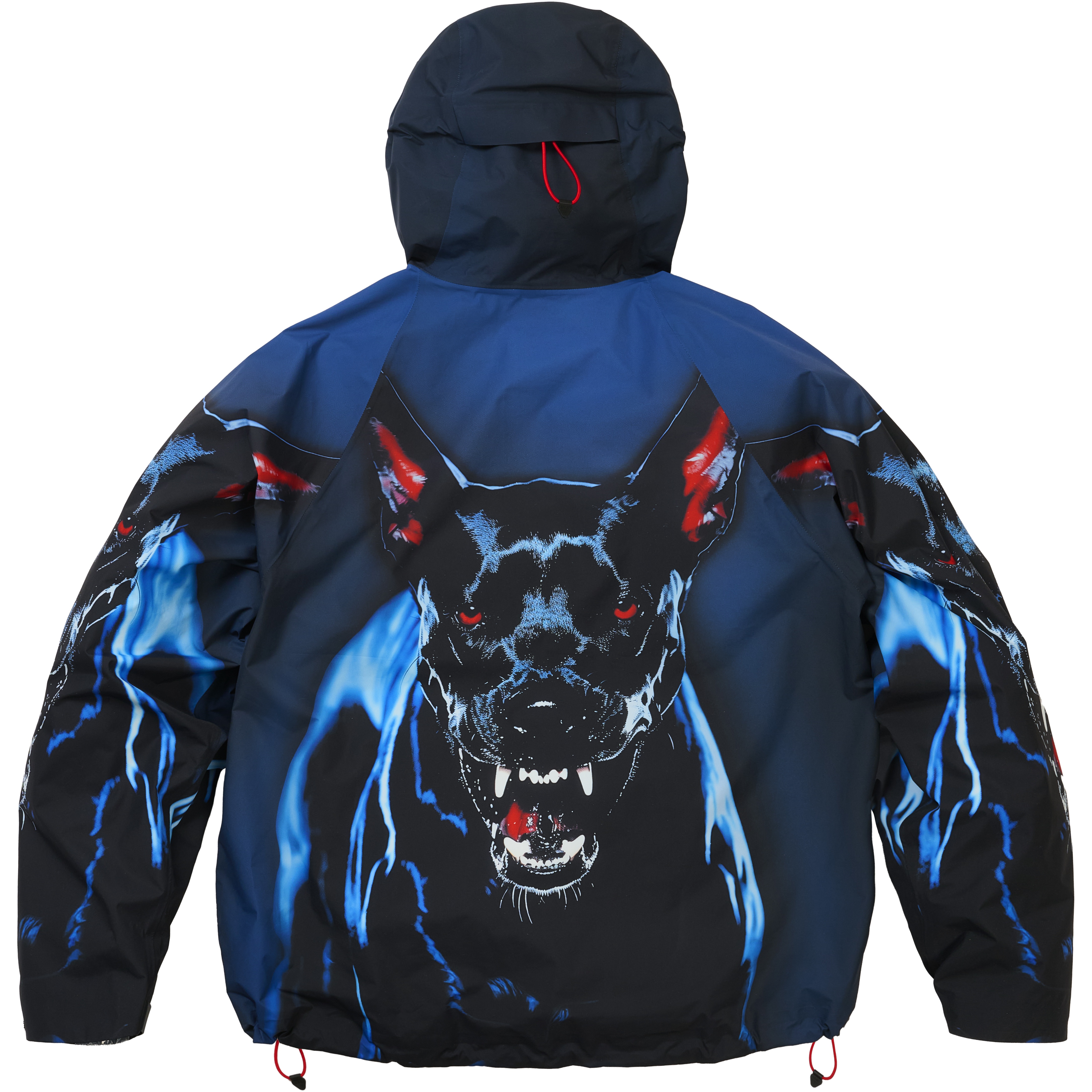 Thumbnail GORE-TEX 2L P-TEK JACKET K-NEIN PRINT one color