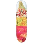 Thumbnail LUCAS PUIG PRO S12 8.125 one color