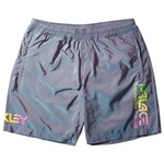 Thumbnail OAKLEY THERMO SHORT STEEL one color