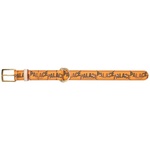 Thumbnail P-LUX DOG COLLAR ORANGE one color