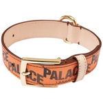 Thumbnail P-LUX DOG COLLAR ORANGE one color