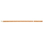Thumbnail P-LUX DOG LEAD ORANGE one color