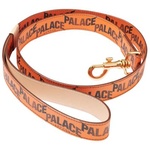 Thumbnail P-LUX DOG LEAD ORANGE one color