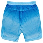 Thumbnail AIRTEX ROUNDHOUSE TO THE FACE SHORTS SKY one color