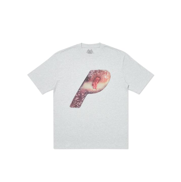 JAM FAM T-SHIRT GREY MARL one color