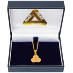 Thumbnail BIO HAZARD PENDANT GOLD one color