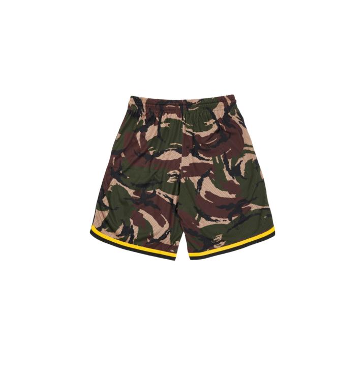 Thumbnail PS SHORTS CAMO one color
