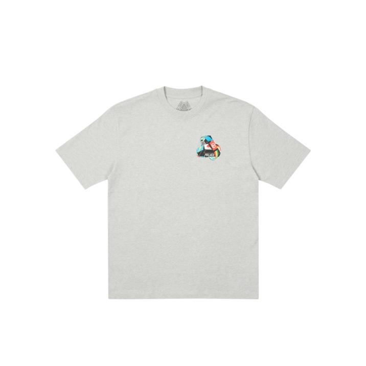 Thumbnail TRI-FLAG T-SHIRT GREY MARL one color