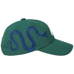 Thumbnail SNAKE P 6-PANEL GREEN one color