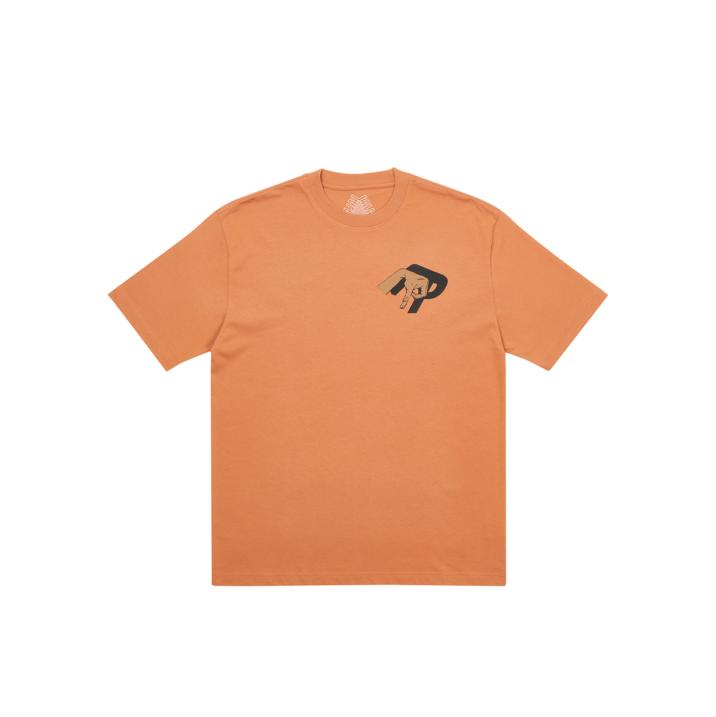 VALLEY OF THE SHADOWS T-SHIRT CARAMEL one color