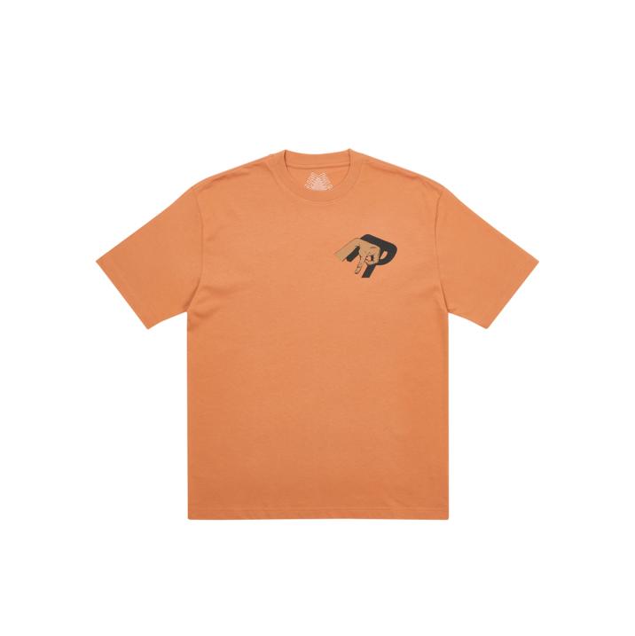 Thumbnail VALLEY OF THE SHADOWS T-SHIRT CARAMEL one color