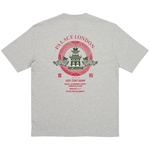 Thumbnail FORTUNATE T-SHIRT GREY MARL one color