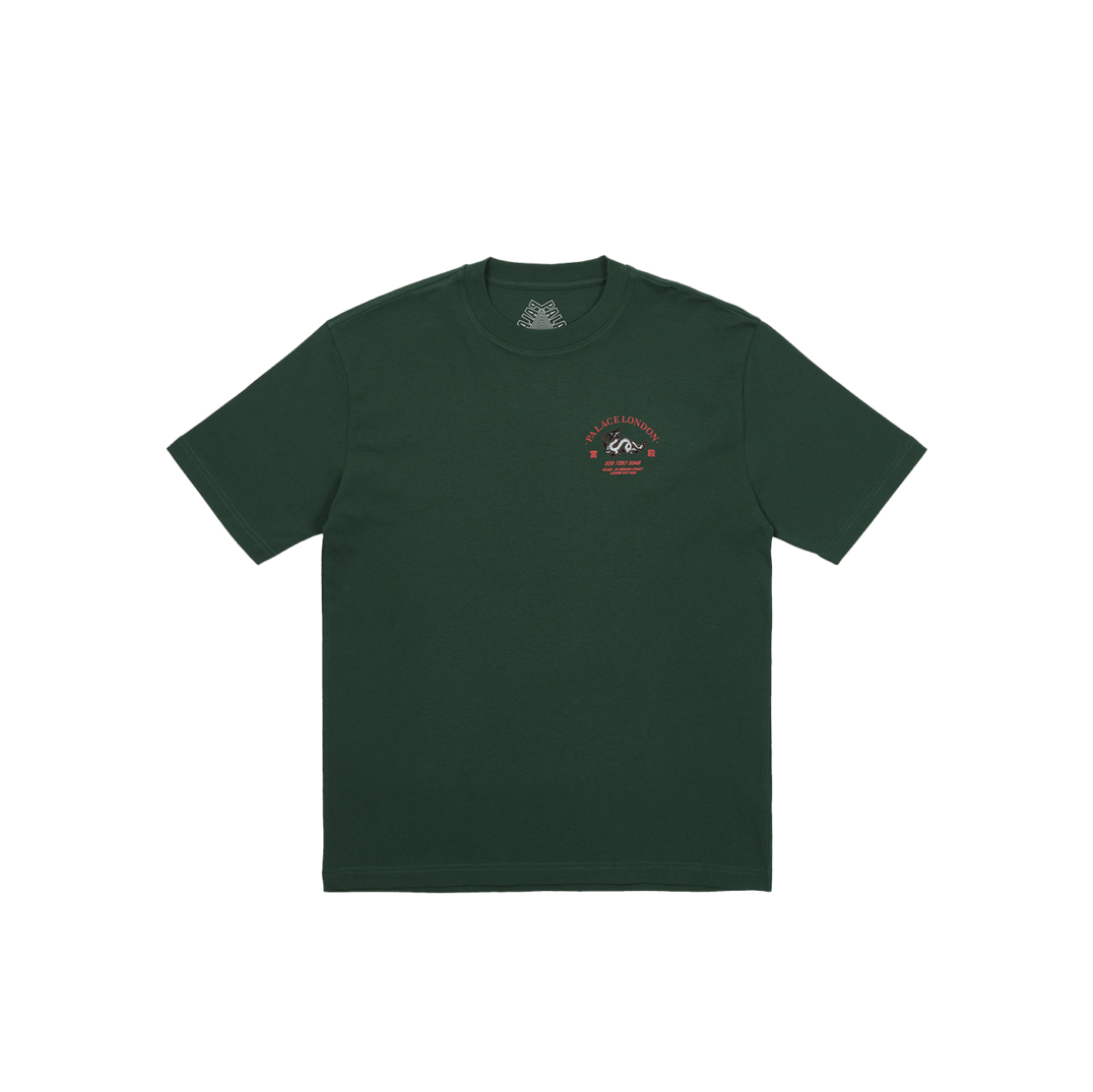 Thumbnail FORTUNATE T-SHIRT HUNTSMAN one color