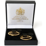 Thumbnail PALACE HOOP EARRINGS GOLD PLATED one color