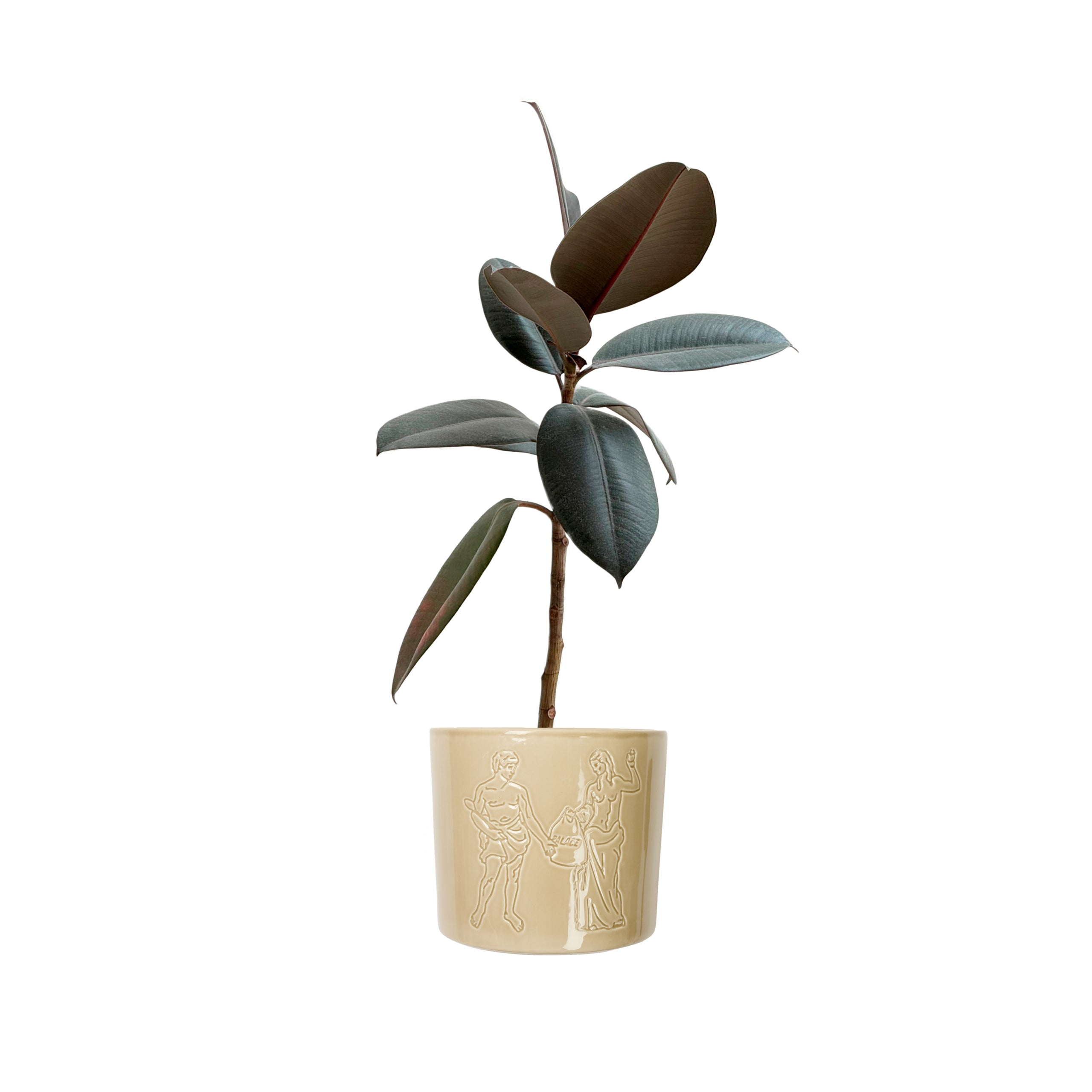 Thumbnail PALACE LONDINIUM CERAMIC PLANT POT STONE one color
