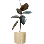 Thumbnail PALACE LONDINIUM CERAMIC PLANT POT STONE one color