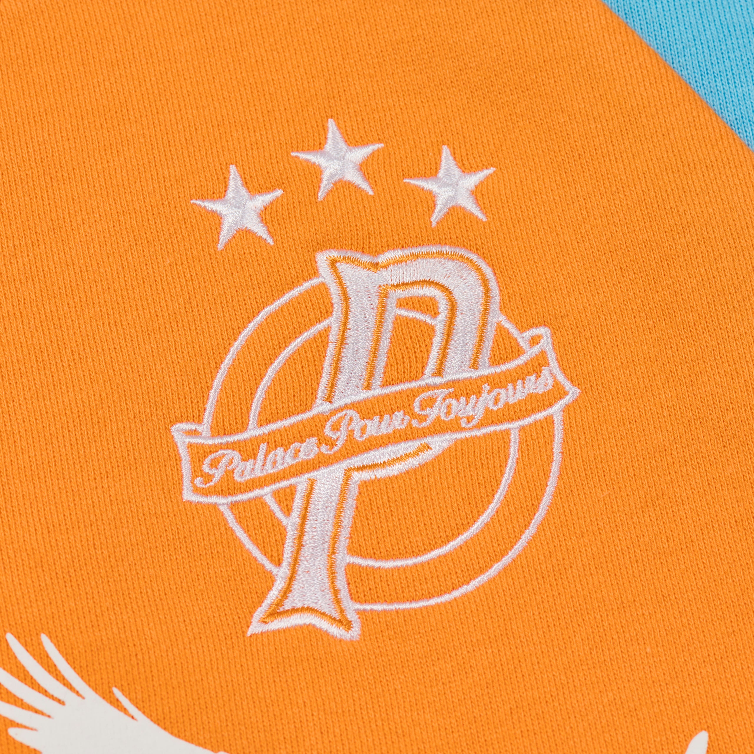 Thumbnail PALAIS PRO-TEAM CREW TIGER ORANGE one color