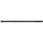 Thumbnail WAIST MAN STUDDED BELT BLACK / SILVER one color