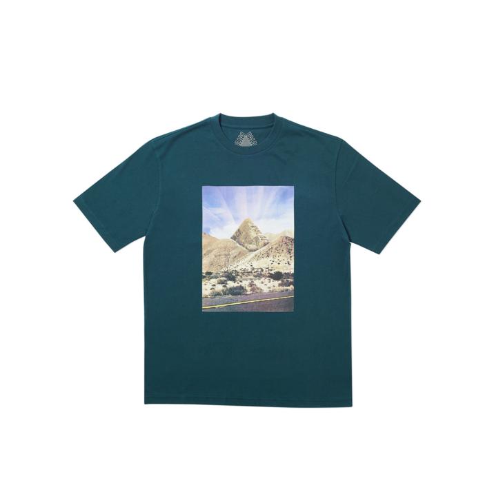 P-SPRANG T-SHIRT DARK GREEN one color