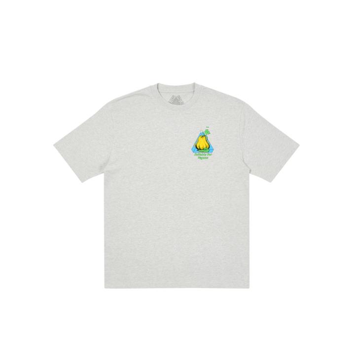 Thumbnail NEIN CHEESE NEIN EGG T-SHIRT GREY MARL one color