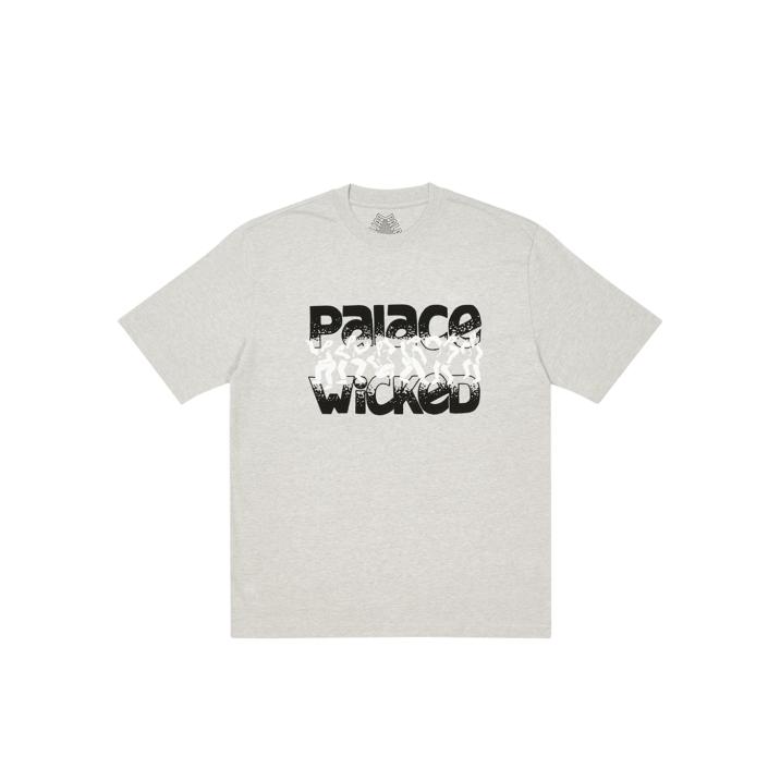 WICKED T-SHIRT GREY MARL one color