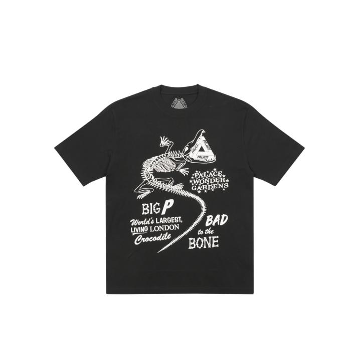CHOMPER T-SHIRT BLACK one color