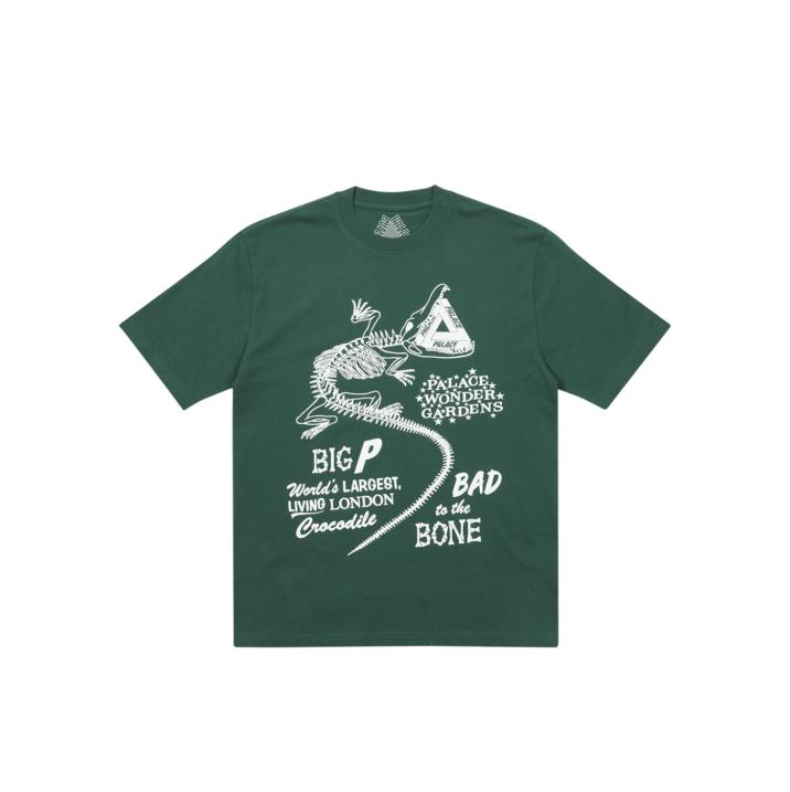 CHOMPER T-SHIRT GREEN one color