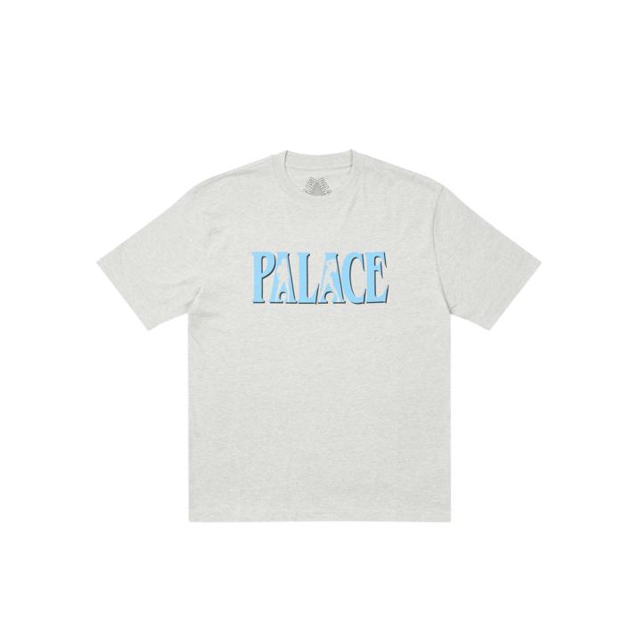 PALACE PLEASE T-SHIRT GREY MARL one color