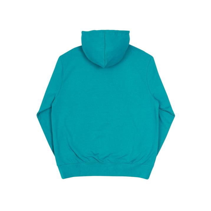 Thumbnail CORRECT HOOD SEA GREEN one color