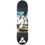 Thumbnail TODD PRO S14 7.75 one color