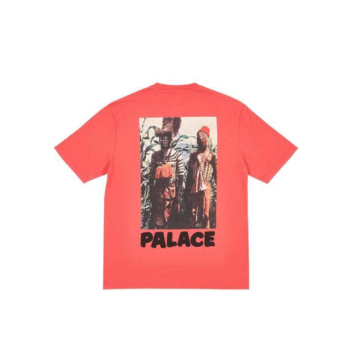 Thumbnail STOGGIE T-SHIRT LIGHT RED one color