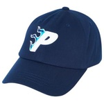 Thumbnail FLAMING P 6-PANEL NAVY one color