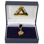 Thumbnail STRIKE IT LUCKY PENDANT GOLD one color