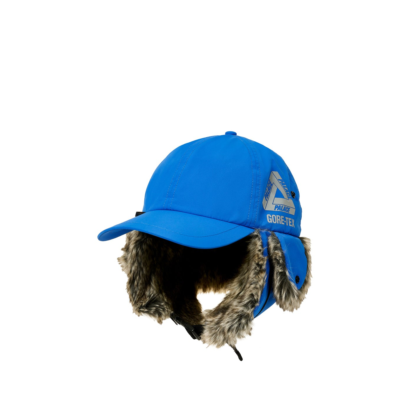 Palace GORE-TEX DOG EAR 6-PANEL CAP - キャップ