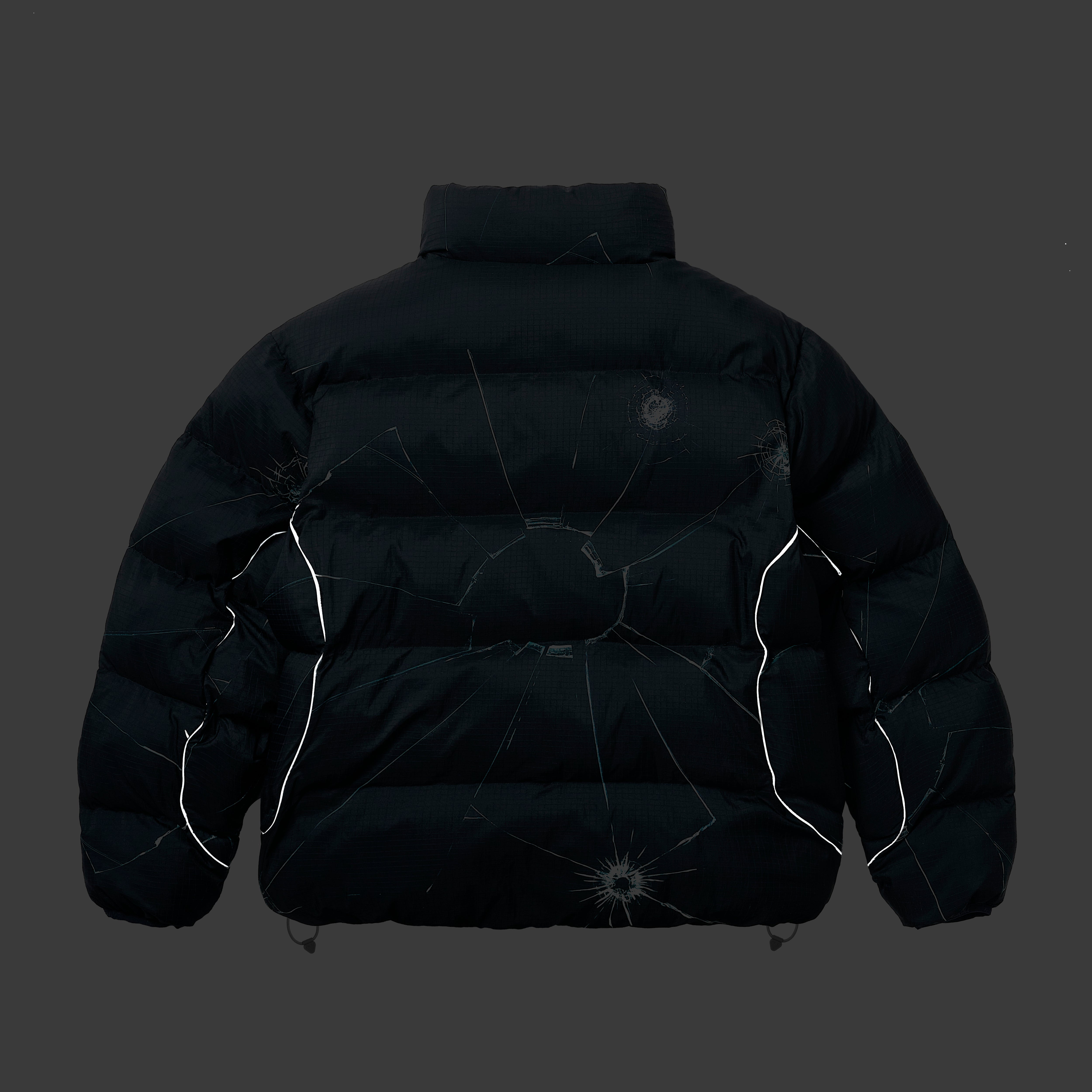Thumbnail RIPSTOP PUFFA SMASHED one color